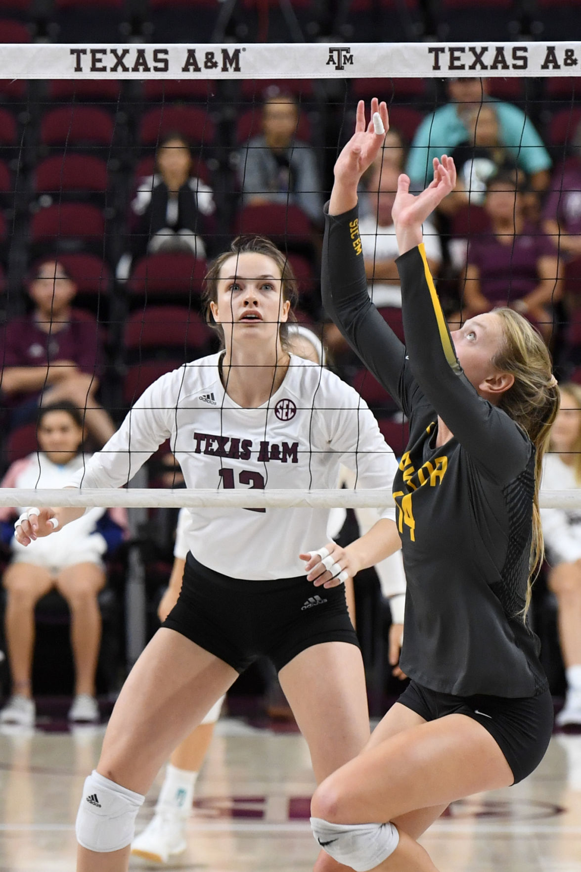 Texas A&M vs. Baylor volleyball